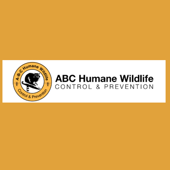 ABC HUMANE WILDLIFE CONTROL & PREVENTION