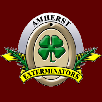 Amherst Exterminators