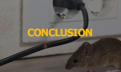 rodents-conclusion