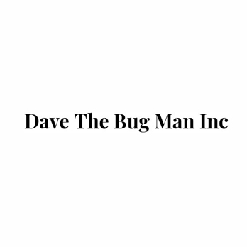 DAVE THE BUG MAN INC
