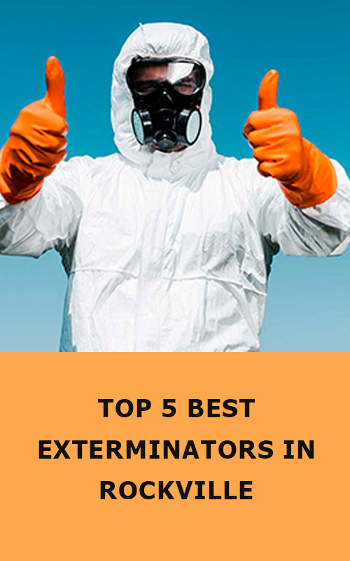 5 Best Exterminators in Rockville