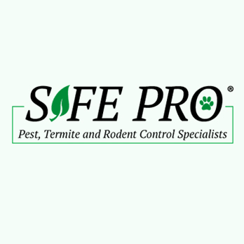 SAFE PRO PEST, TERMITE AND RODENT SPECIALIST